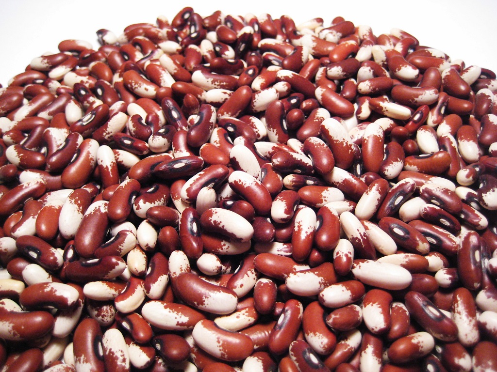 Top 10 Highest Beans Producing Countries