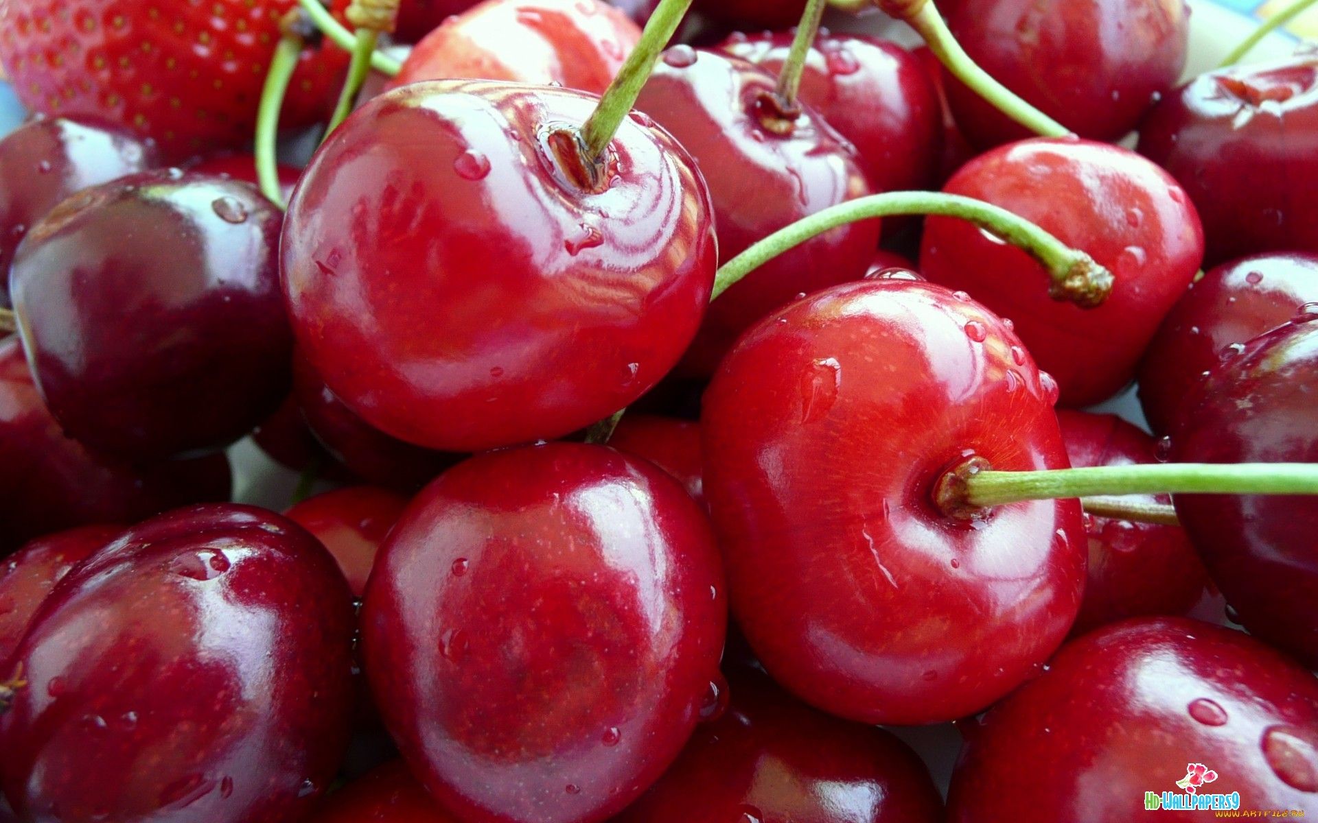 Top 10 Highest Cherry Producing Countries
