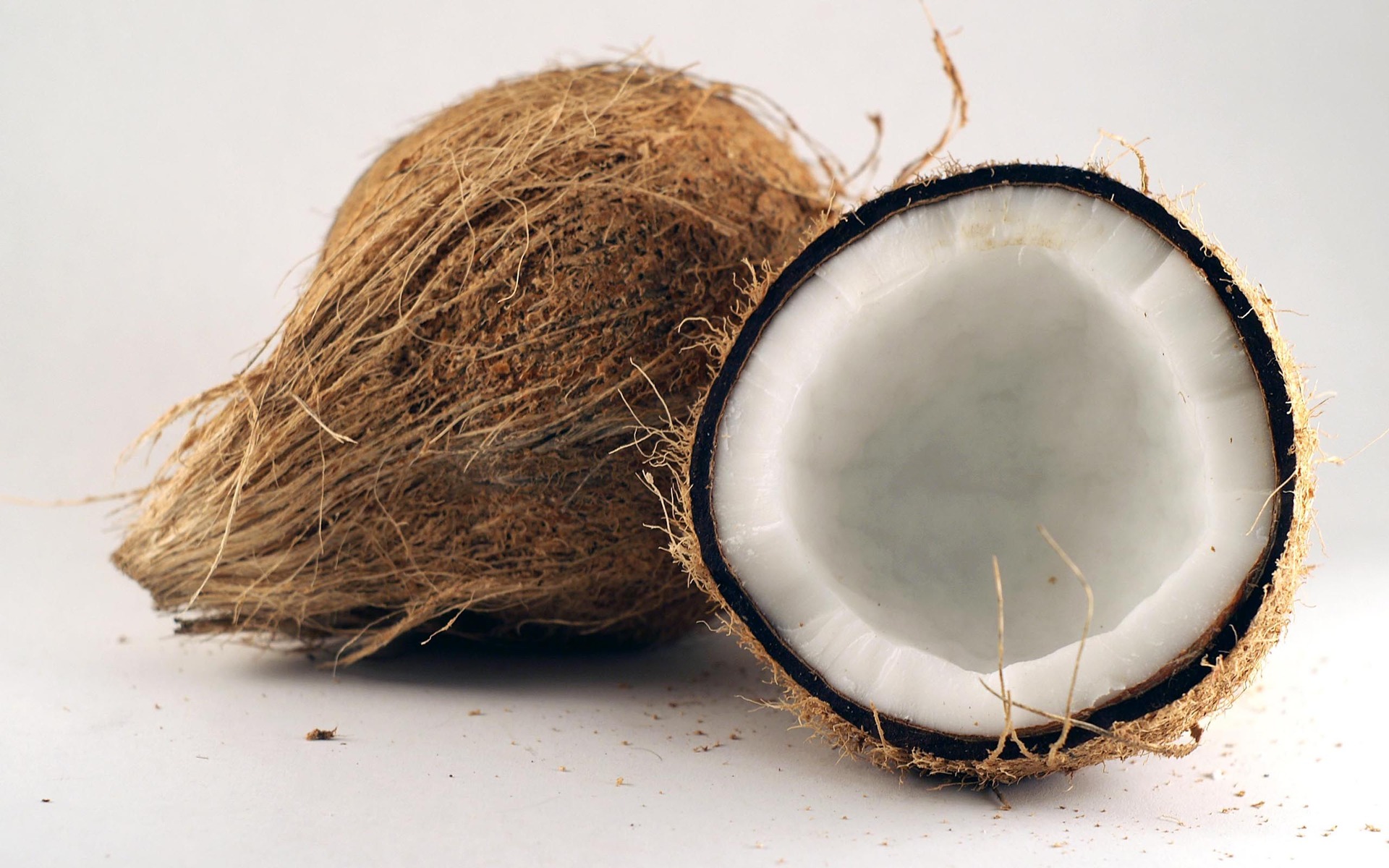Top 10 Highest Coconut Producing Countries