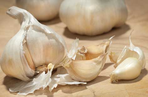 Top 10 Highest Garlic Producing Countries