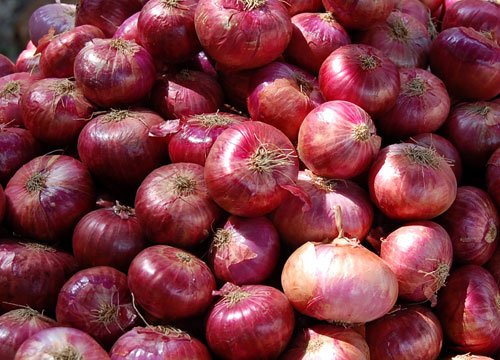 Top 10 Highest Onion Producing Countries