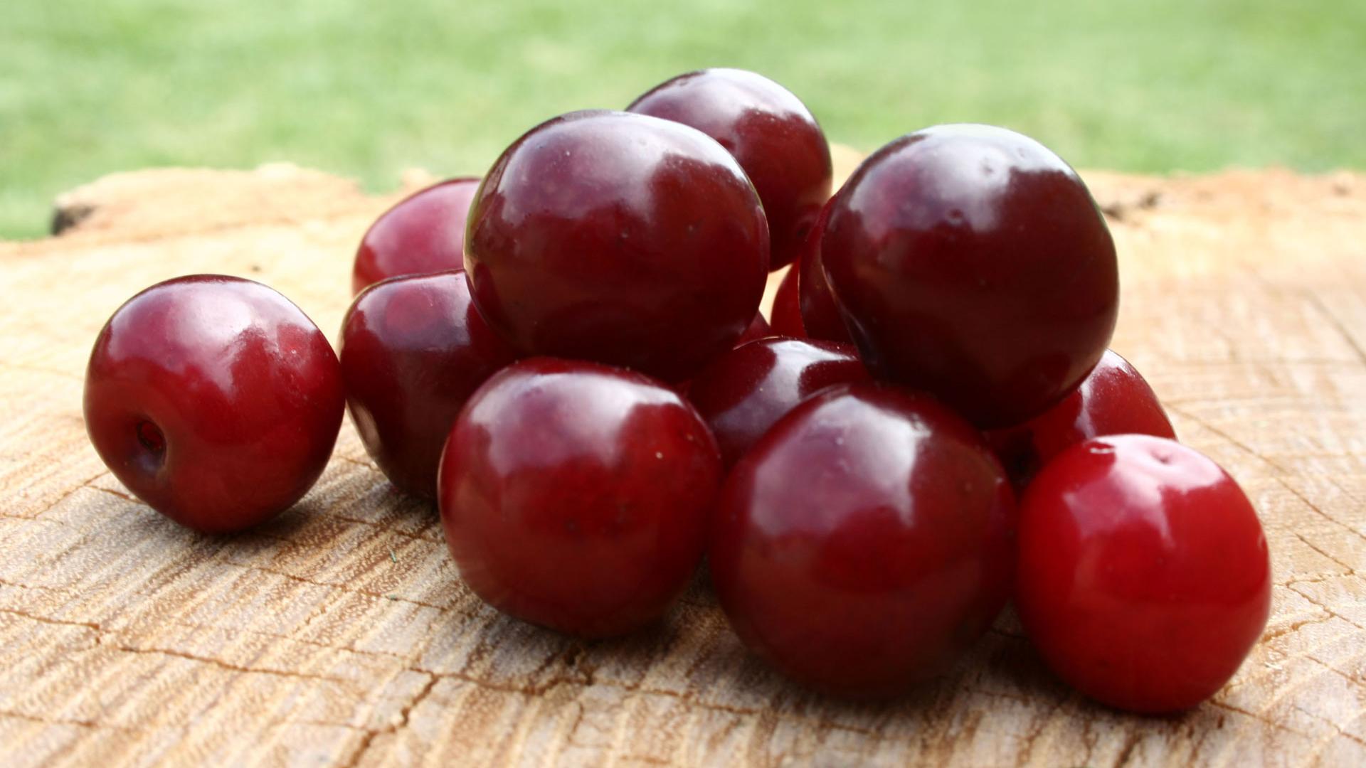 Top 10 Highest Plum Producing Countries