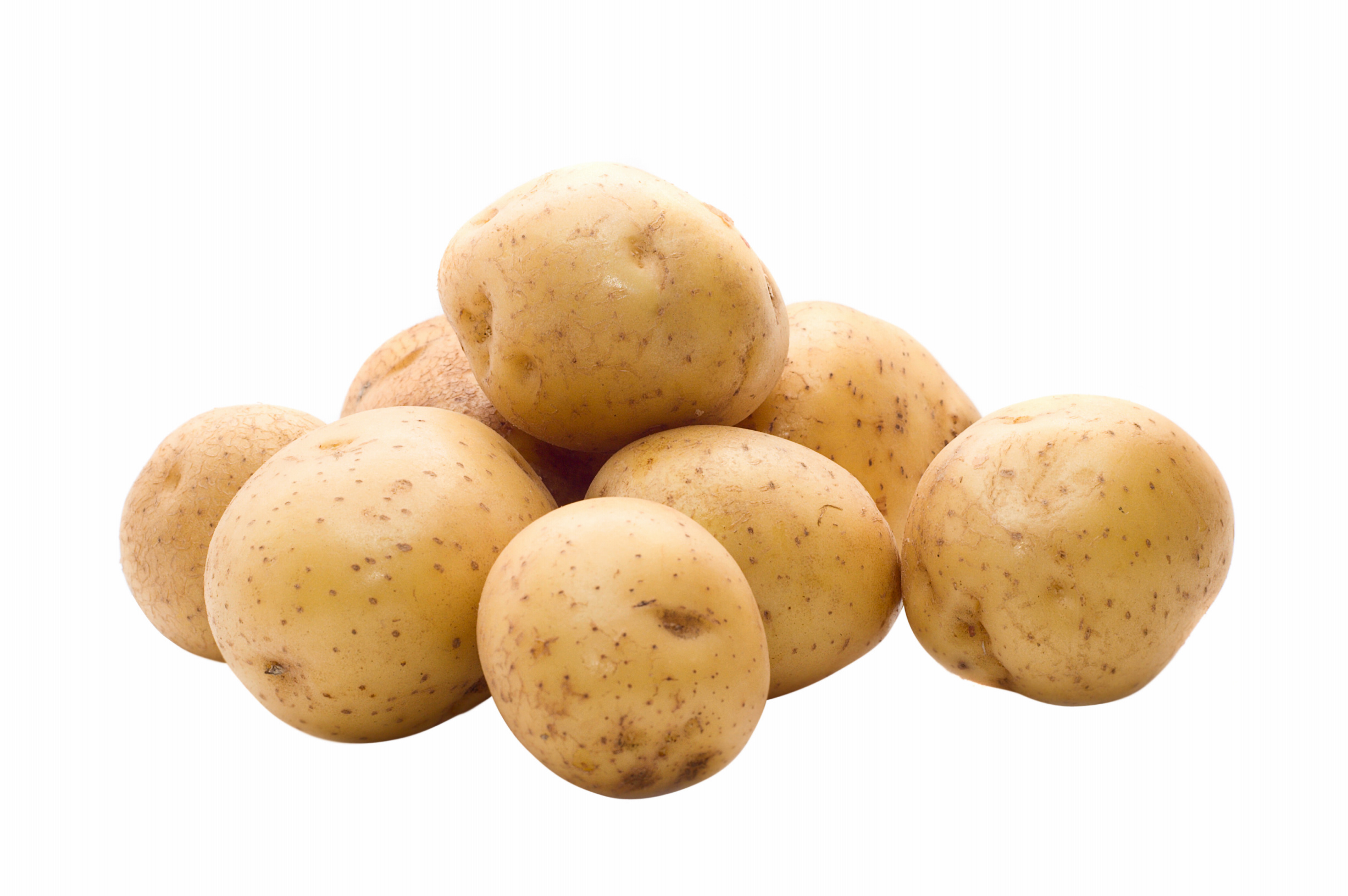 Top 10 Highest Potato Producing Countries