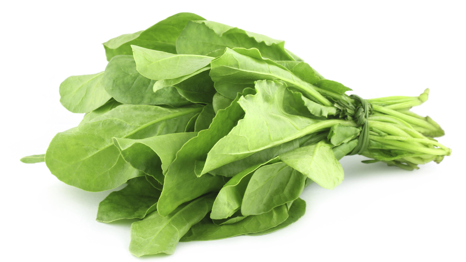 Top 10 Highest Spinach Producing Countries