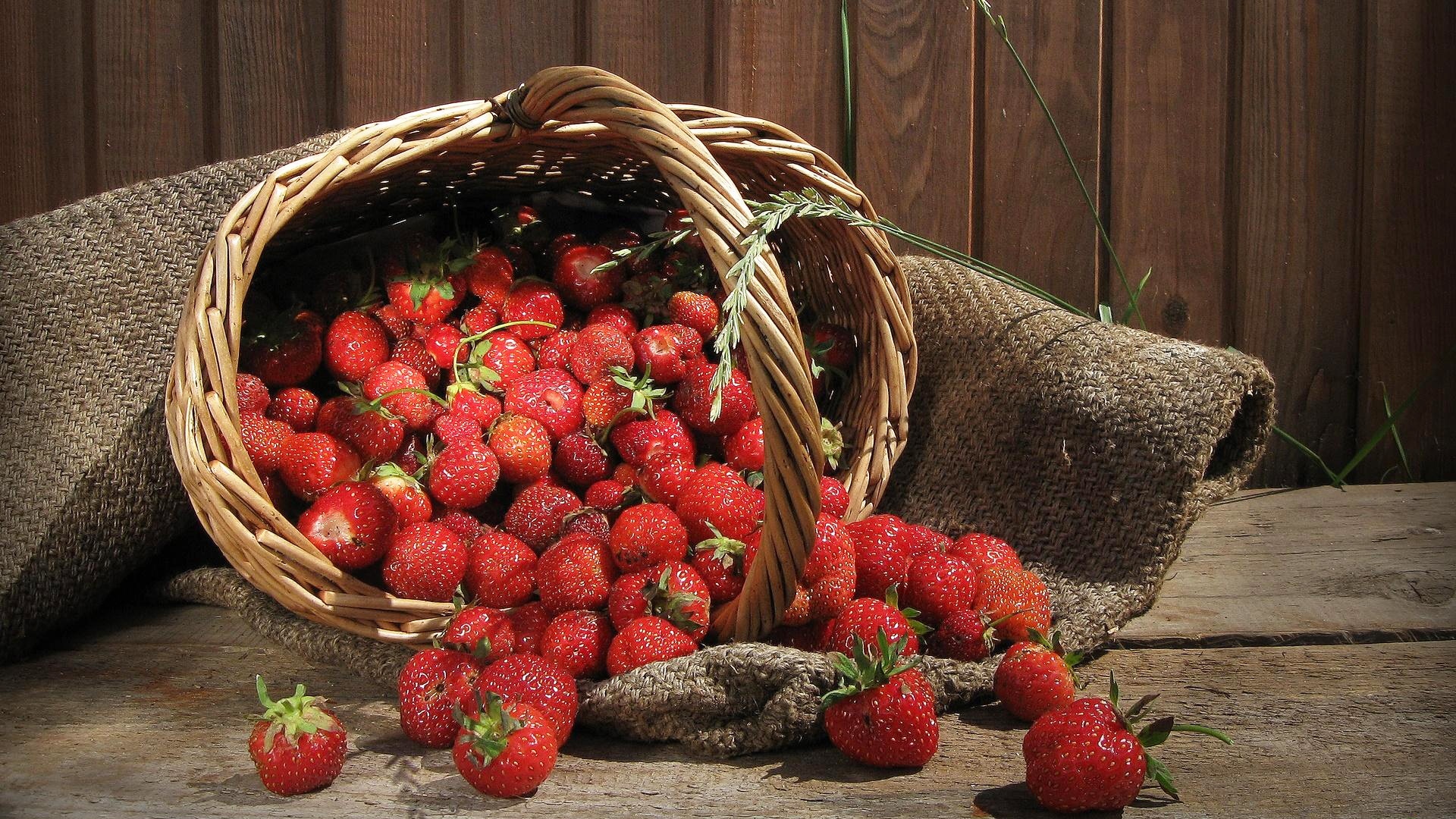 Top 10 Highest Strawberry Producing Countries