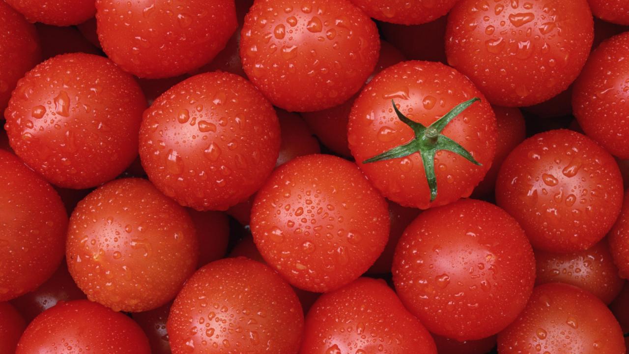 Top 10 Highest Tomato Producing Countries