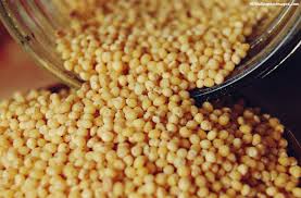 Top 10 Highest Millet Producing Countries